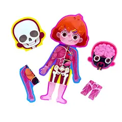 GENERICO - Rompecabezas Del Cuerpo Humano Enseñanza 6 En 1 Niña