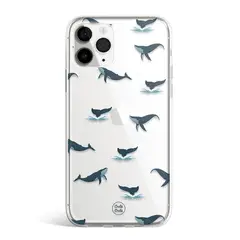 CHALO CHALO - Forro Ballenas