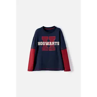 WARNER BROS - Camiseta de Harry Potter manga larga azul para niño