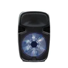 JLC ELECTRONICS - Parlante JLC 30W Watts RMS Bluetooth 5.0 con Salida de Altavoz y Karaoke - Ref. PP-2108AUN