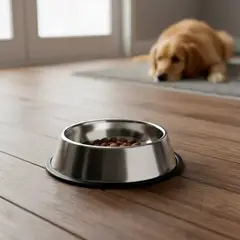 GENERICO - Plato Comedero Metálico Grande 29,5 Cm Mascotas Perros Gato