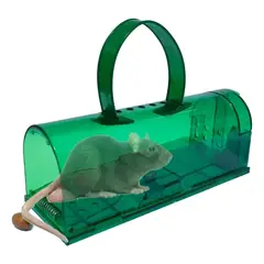 GENERICO - Trampas Para Ratones Ratas Humanas Verde