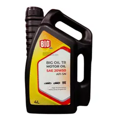 CASTROL - Aceite 10W40 Magnatec * Lt