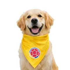 GENERICO - Pañoleta Para Perro Gato Selección Colombia Diseño Único Talla L