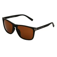FRENCH CONNECTION - Gafas de Sol Para Hombre FRENCH CONNEC FC 24 561 BRN