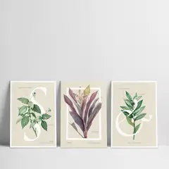 GAMA DIGITAL - Cuadros decorativos Triptico Abstract Botanic 30x40