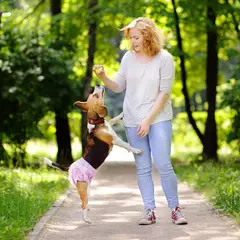 GENERICO - 16 PAÑAL DESECHABLE S PERRO GRANDE PERRA CELO SUPER ABSORVENTE