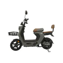 PROFIT - Bicicleta Eléctrica Roslyn - Motor 350W-25Kh - Gris