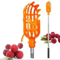 GENERICO - HERRAMIENTA PARA RECOGER FRUTA