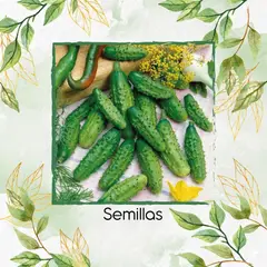 GENERAL - 100 Semillas De Pepinillo Parisino Híbrido Aas F1