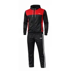 MODA EN CIRCUITO - Conjunto Deportivo o Sudadera Para Hombre en Vioto