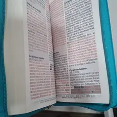 CLC - Biblia De PromesasReinaV60Letra Grande EconomicaAguamarina