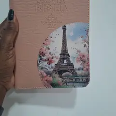 CLC - Biblia De PromesasReinaValera60Letra Grande EconomicaRosada