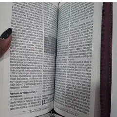 CLC - Biblia De PromesasReinaV60Letra Grande EconomicaVinotinto Paris