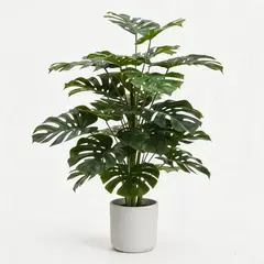POLASUP - Planta Artificial Espalda de Tortuga 100 cm Realista Decorativa Apartamentos Sala Interior