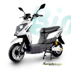 BIOBICI - Bicicleta Eléctrica BENGALA Biobicis 2026 Color Silver 1000W