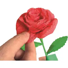 CLEMENTONI - Juego Científico Creativo Flores Narcisos Para Niños Niñas