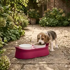 IDEAL - Comedero Doble Diseño práctico y elegante para tu mascota