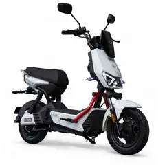 HUYSER - Bicicleta Eléctrica New York Batería Plomo Gel 72v