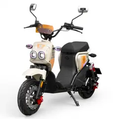 HUYSER - Bicicleta Eléctrica Madrid Litio Batería Litio Extraíble 60v