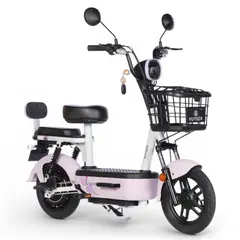 HUYSER - Bicicleta Eléctrica Portugal Lite Batería Plomo Gel Extraíble 36v