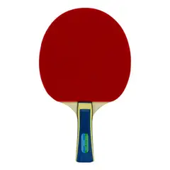 BUTTERFLY - Raqueta Wakaba 1000 para tenis de mesa