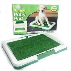 CLEAR - Tapete Entrenamiento Baño Potty Pach Perros Pequeños No Generico