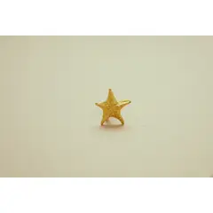 AMORINO JEWELRY - Anillo Estrella Mar con Baño de Oro de 24 kt de 5 Micras