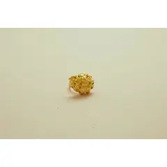 AMORINO JEWELRY - Anillo Caracol de Luz con Baño de Oro de 24 kt de 5 Micras