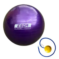 WESDAR - Balón de Pilates 55 cms E Sport
