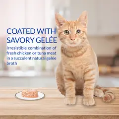 INABA - Alimento Humedo Cat - Twins Pollo Y Atun 70 Gr
