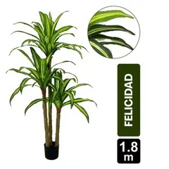 GIO HOME - MATA DE LA FELICIDAD 180CM ARTIFICIAL