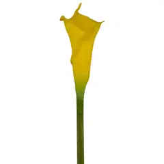 GIO HOME - PACK X3 UNIDADES CARTUCHO 63 CM AMARILLO