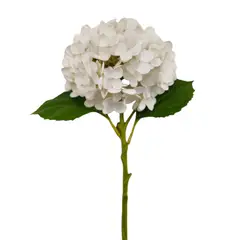 GIO HOME - HORTENSIA REAL BLANCA 49cm