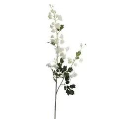 GIO HOME - ORQUIDEA DAMA DANZANTE BLANCA