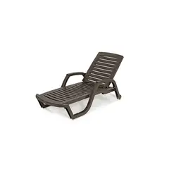 GENERICO - Silla Cama Plegable Asoleadora Para Piscina