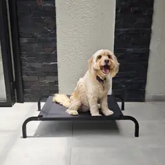 INDUHOGAR - Cama elevada para perros en tubo y lona antifluidos talla M