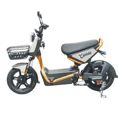 CANAAN - MOTO ELECTRICA VOLT PRO