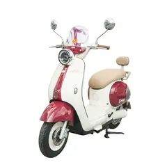 CANAAN - MOTO ELECTRICA MOPED PRO LITE