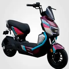 EVOBIKE - BICIMOTO ELÉCTRICA AGUILA PRO - BATERÍA EXTRAÍBLE