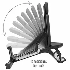 EVOLUTION FITNESS - Banco Ajustable Multiposición EVO 1103