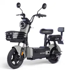 HUYSER - Bicicleta Eléctrica Portugal 2.0 Extraíble Batería Plomo Gel 48v