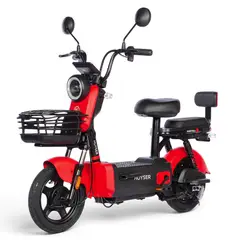 HUYSER - Bicicleta Eléctrica Portugal 2.0 Extraíble Batería Plomo Gel 48v