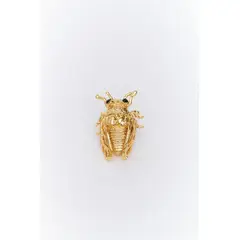 ANDREA AMARILLO - Broche De Cigarra