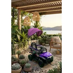 BRITOCHET - Carro Montable Recargable Bebe Juguete 2n1 Musical Paseador REF 1599