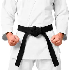 GENERICO - CINTURON DE KARATE