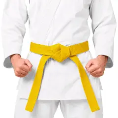 GENERICO - CINTURON PARA KARATE