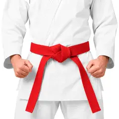 GENERICO - CINTURON PARA KARATE