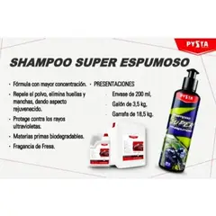 GENERICO - Shampoo Concentrado 1000ml Protección UV Moto