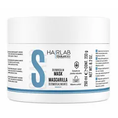 SALERM - Mascarilla Dermocalmante Hairlab 250ml